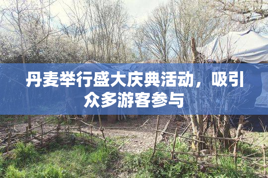 丹麦举行盛大庆典活动，吸引众多游客参与