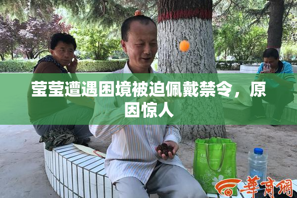 莹莹遭遇困境被迫佩戴禁令，原因惊人