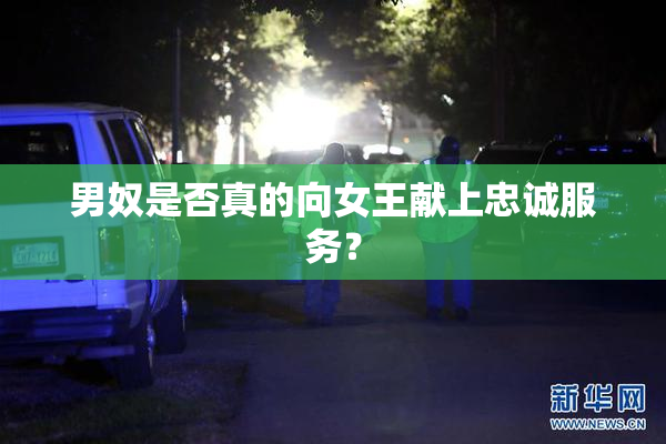 男奴是否真的向女王献上忠诚服务？