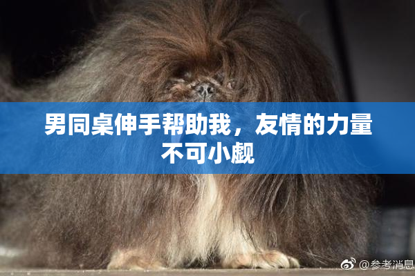 男同桌伸手帮助我，友情的力量不可小觑