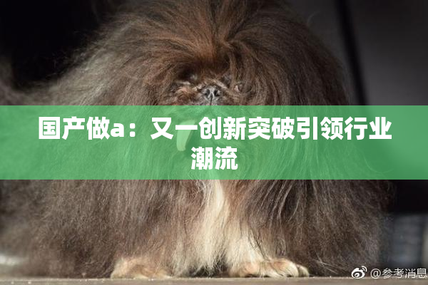 国产做a：又一创新突破引领行业潮流