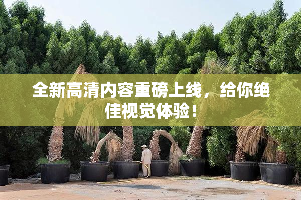 全新高清内容重磅上线，给你绝佳视觉体验！