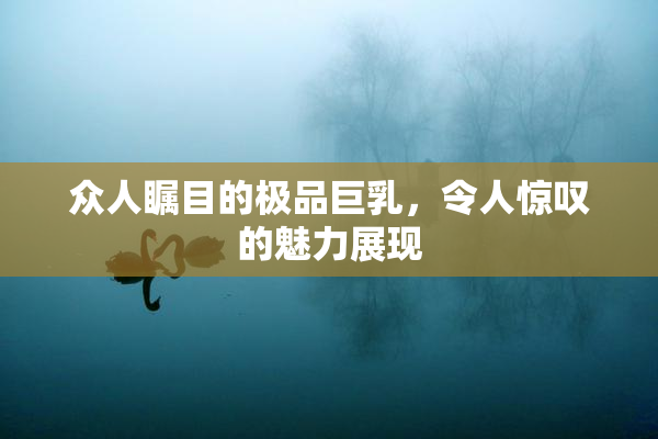 众人瞩目的极品巨乳，令人惊叹的魅力展现