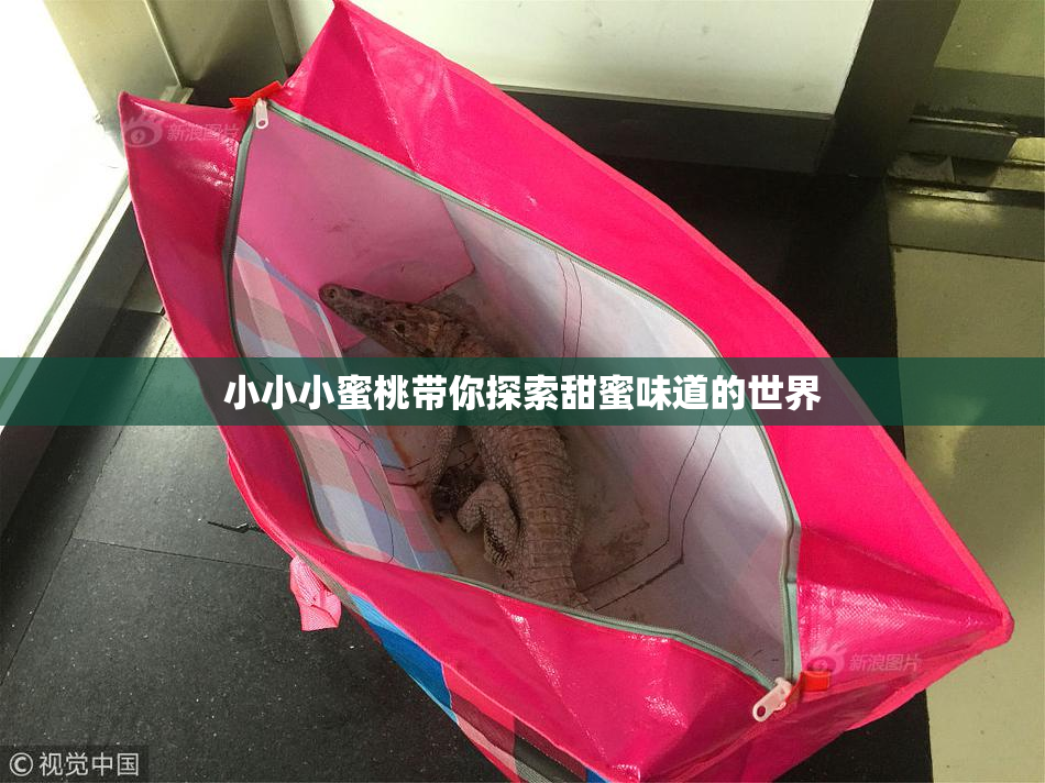 小小小蜜桃带你探索甜蜜味道的世界