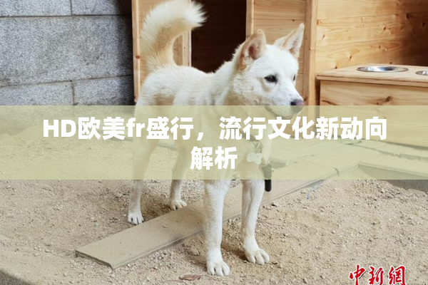 HD欧美fr盛行，流行文化新动向解析