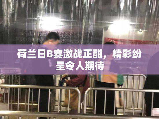荷兰日B赛激战正酣，精彩纷呈令人期待
