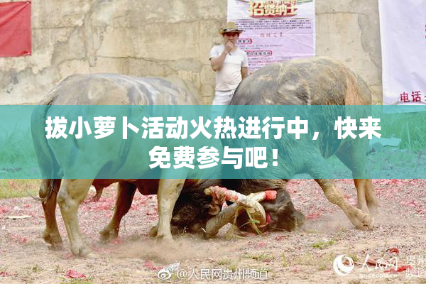 拔小萝卜活动火热进行中，快来免费参与吧！