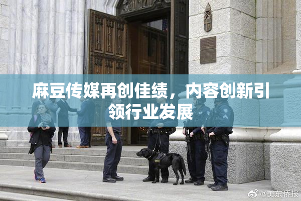 麻豆传媒再创佳绩，内容创新引领行业发展