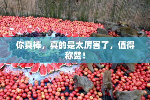 你真棒，真的是太厉害了，值得称赞！
