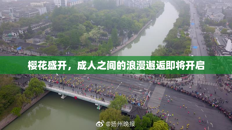 樱花盛开，成人之间的浪漫邂逅即将开启
