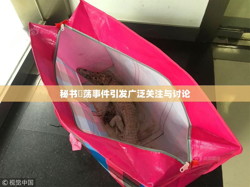 秘书婬荡事件引发广泛关注与讨论