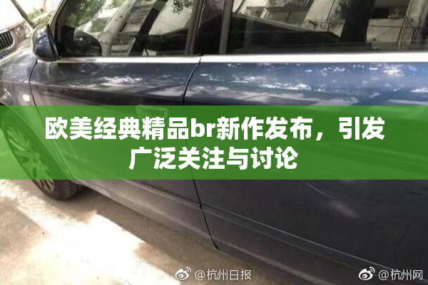 欧美经典精品br新作发布，引发广泛关注与讨论