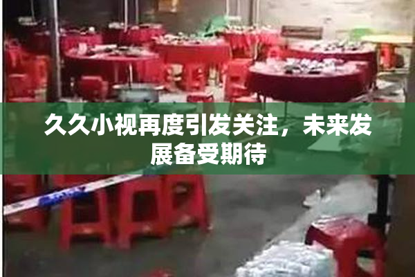 久久小视再度引发关注，未来发展备受期待