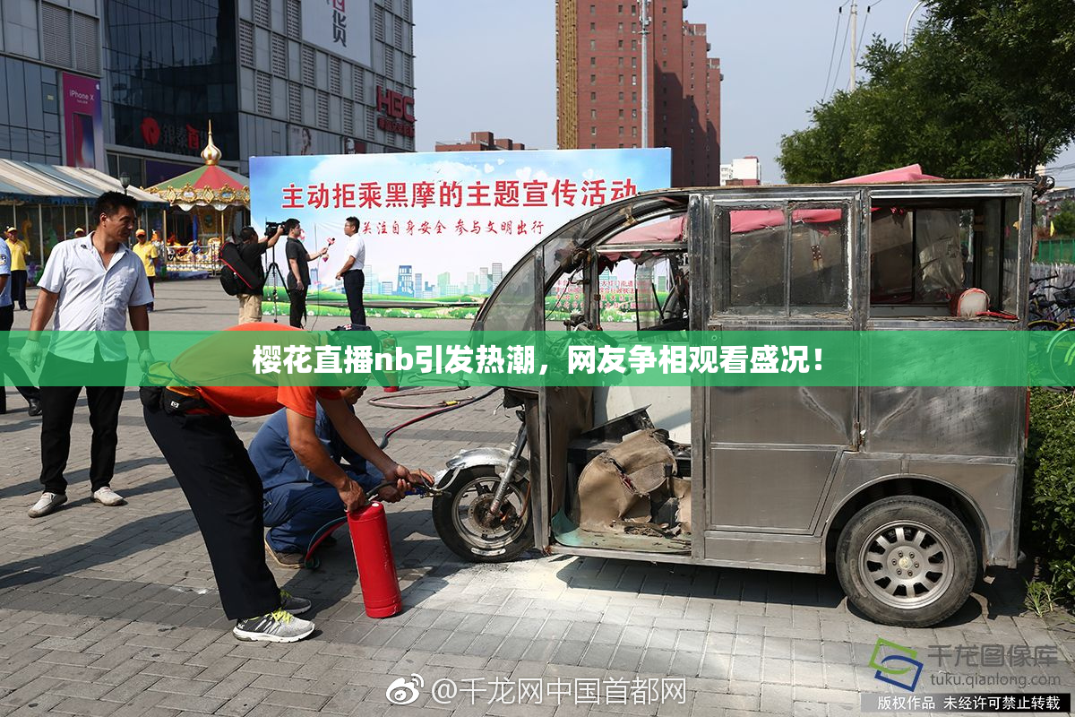 樱花直播nb引发热潮，网友争相观看盛况！