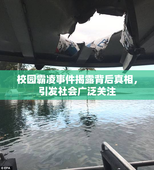 校园霸凌事件揭露背后真相，引发社会广泛关注
