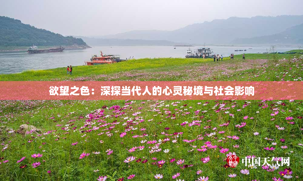 欲望之色：深探当代人的心灵秘境与社会影响