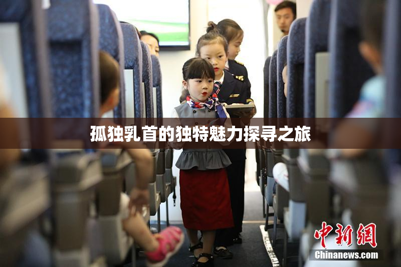 孤独乳首的独特魅力探寻之旅