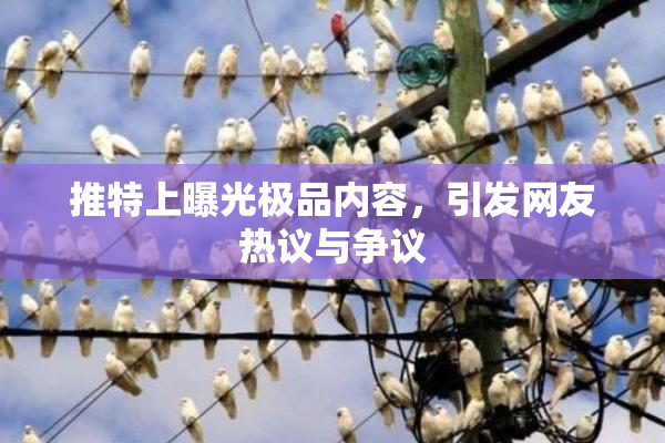 推特上曝光极品内容，引发网友热议与争议