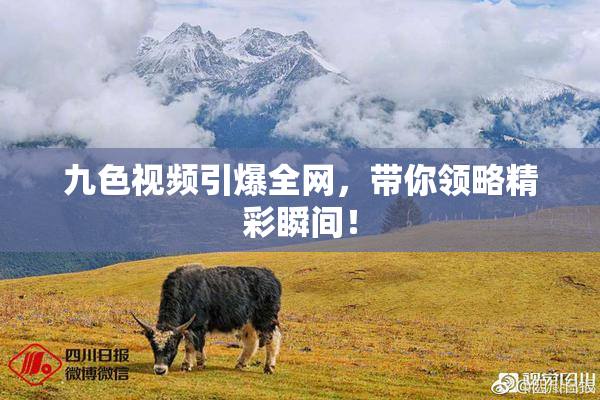 九色视频引爆全网，带你领略精彩瞬间！