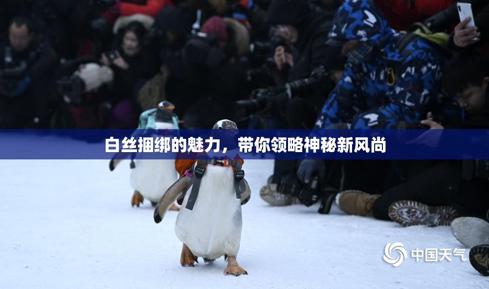白丝捆绑的魅力，带你领略神秘新风尚