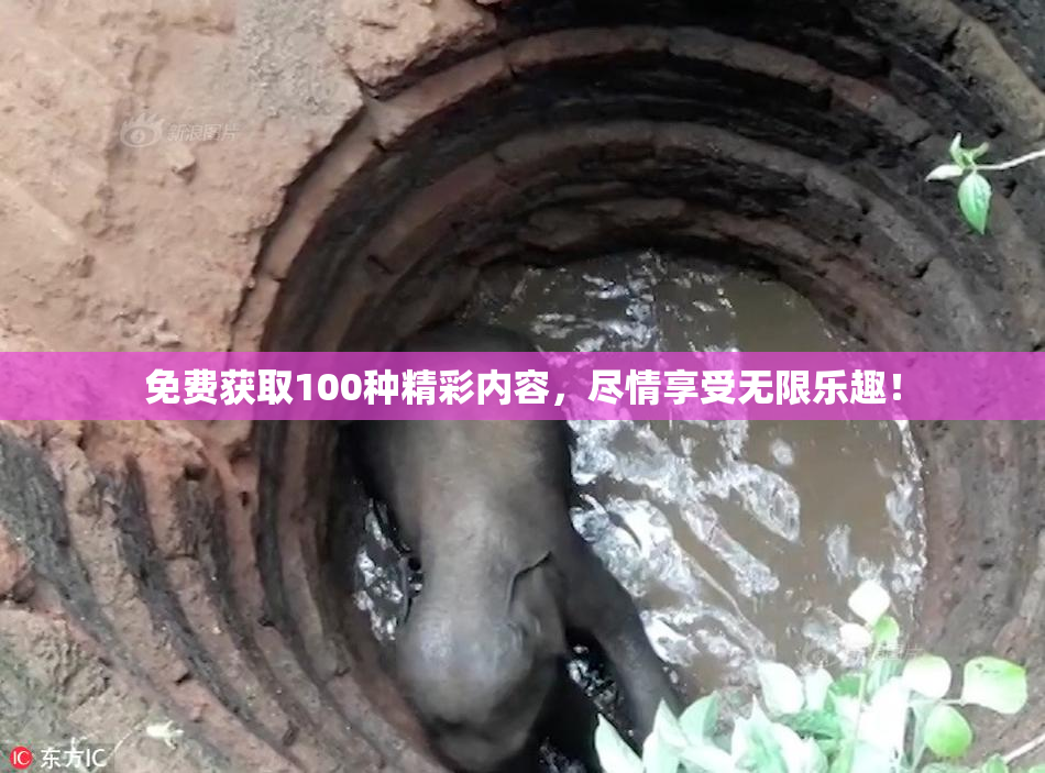 免费获取100种精彩内容，尽情享受无限乐趣！