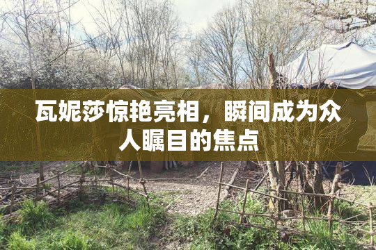 瓦妮莎惊艳亮相，瞬间成为众人瞩目的焦点