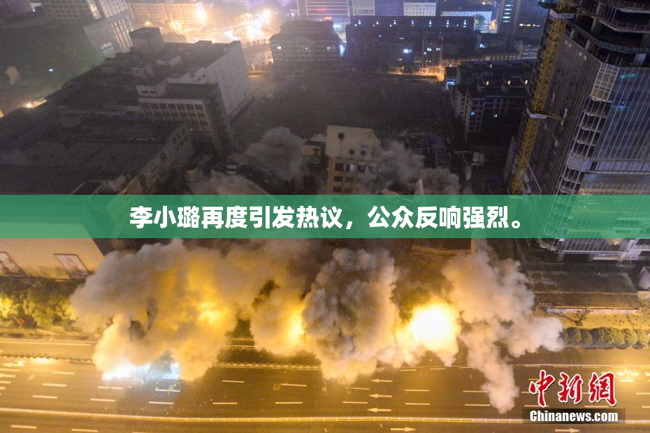 李小璐再度引发热议，公众反响强烈。