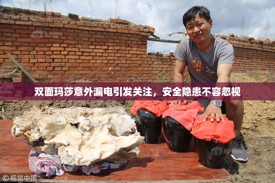 双面玛莎意外漏电引发关注，安全隐患不容忽视