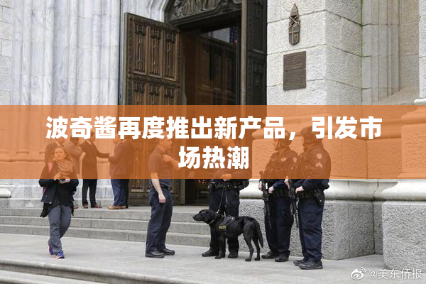 波奇酱再度推出新产品，引发市场热潮