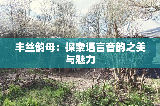 丰丝韵母：探索语言音韵之美与魅力