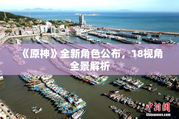 《原神》全新角色公布，18视角全景解析