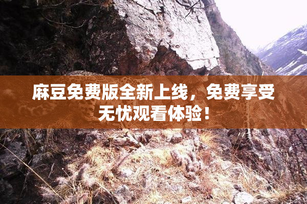 麻豆免费版全新上线，免费享受无忧观看体验！