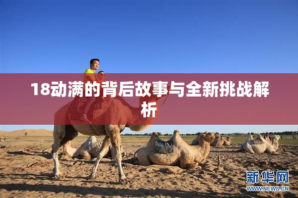 18动满的背后故事与全新挑战解析