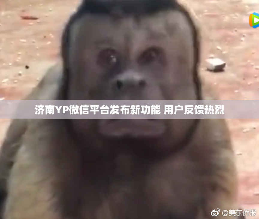 济南YP微信平台发布新功能 用户反馈热烈