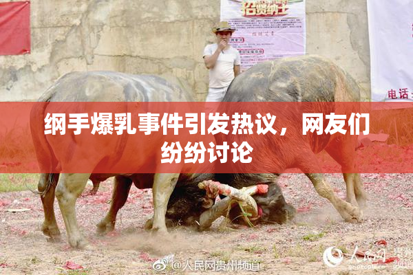 纲手爆乳事件引发热议，网友们纷纷讨论