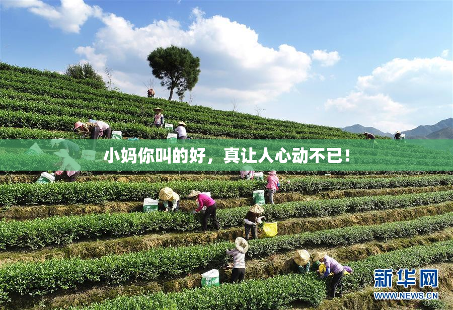 小妈你叫的好，真让人心动不已！