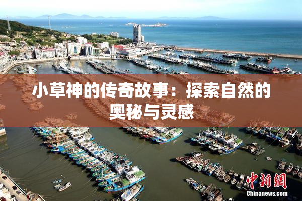 小草神的传奇故事：探索自然的奥秘与灵感