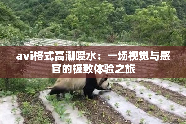 avi格式高潮喷水：一场视觉与感官的极致体验之旅