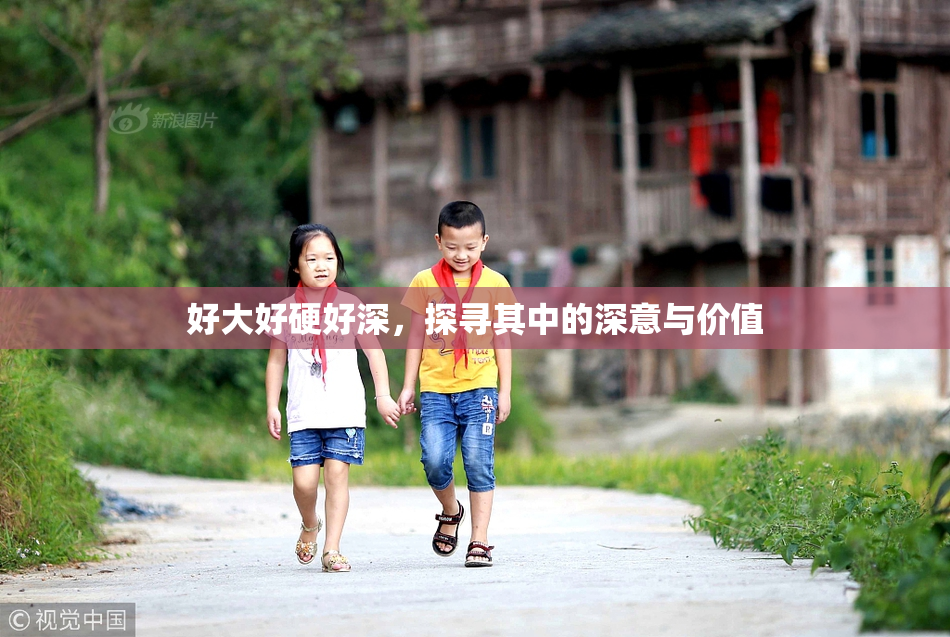 好大好硬好深，探寻其中的深意与价值