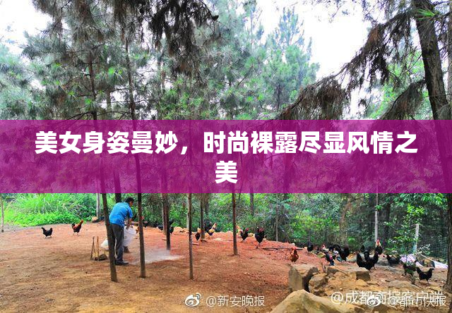 美女身姿曼妙，时尚裸露尽显风情之美