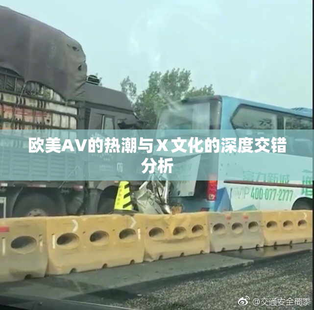 欧美AV的热潮与Ⅹ文化的深度交错分析
