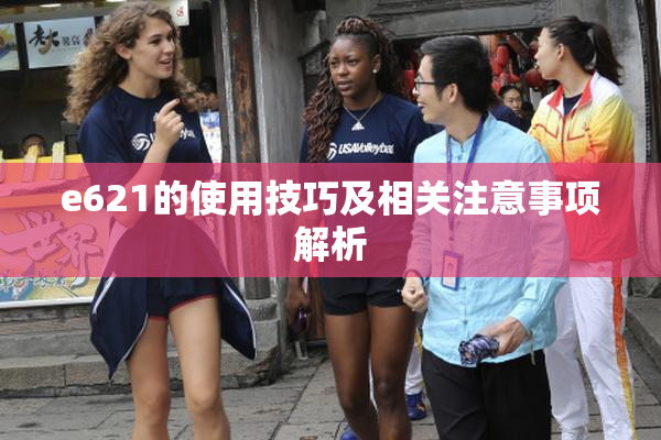 e621的使用技巧及相关注意事项解析