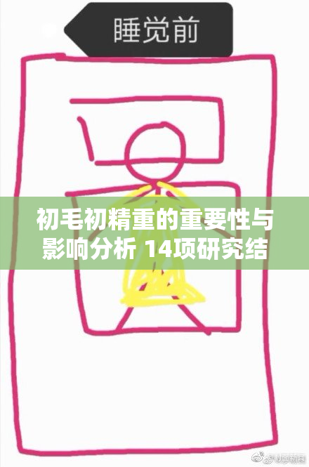 初毛初精重的重要性与影响分析 14项研究结果揭示真相