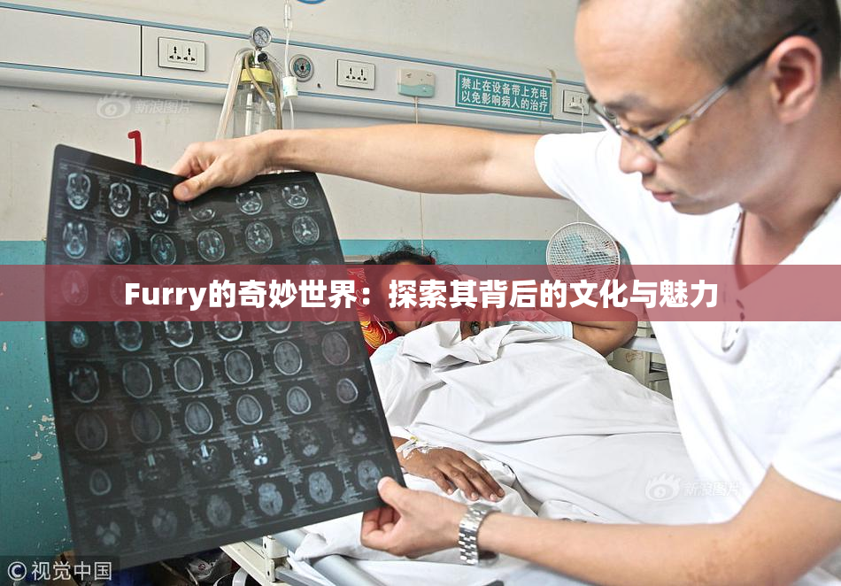 Furry的奇妙世界：探索其背后的文化与魅力