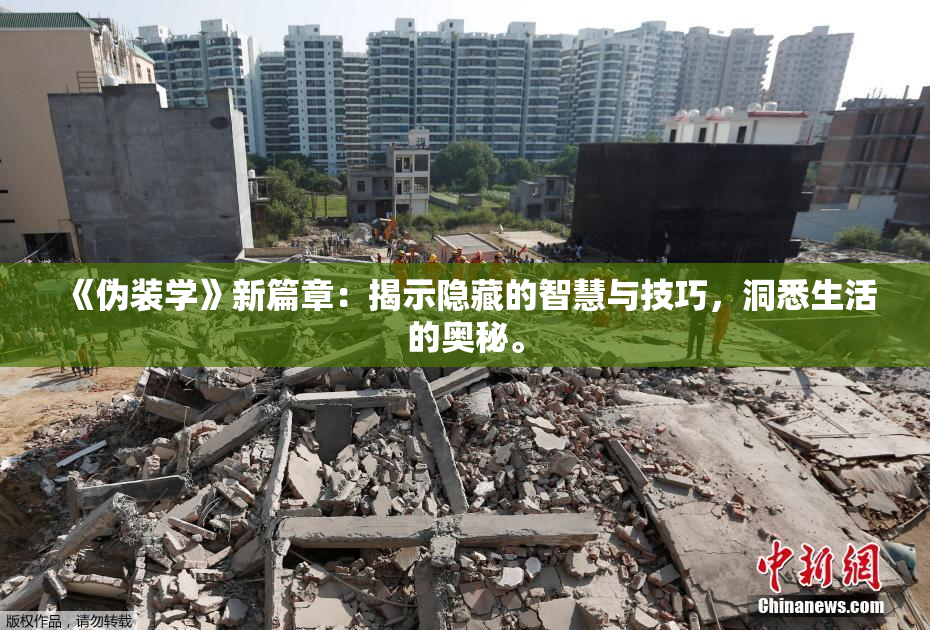 《伪装学》新篇章：揭示隐藏的智慧与技巧，洞悉生活的奥秘。