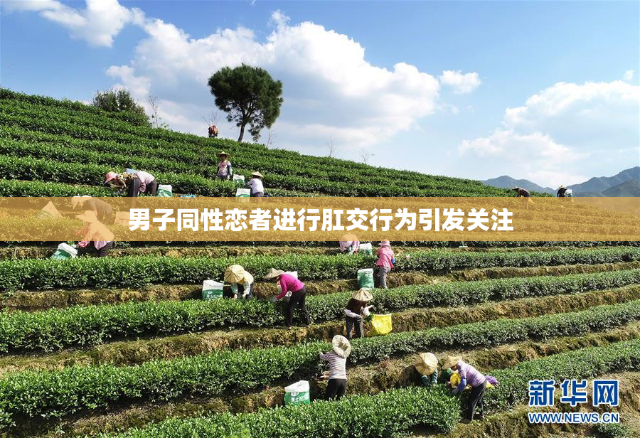 男子同性恋者进行肛交行为引发关注