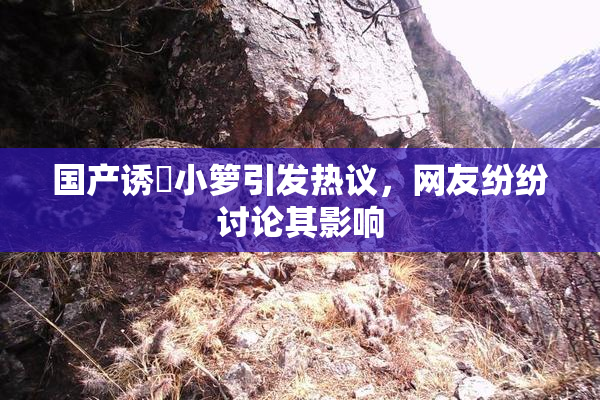 国产诱奷小箩引发热议，网友纷纷讨论其影响