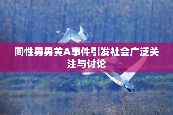 同性男男黄A事件引发社会广泛关注与讨论