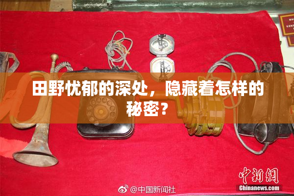 田野忧郁的深处，隐藏着怎样的秘密？