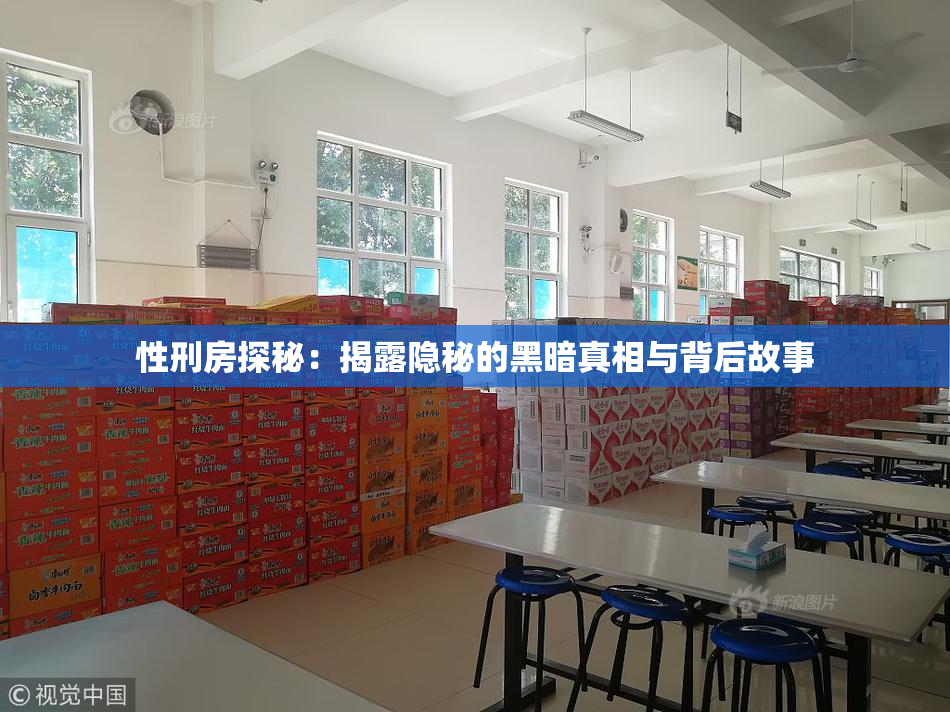 性刑房探秘：揭露隐秘的黑暗真相与背后故事